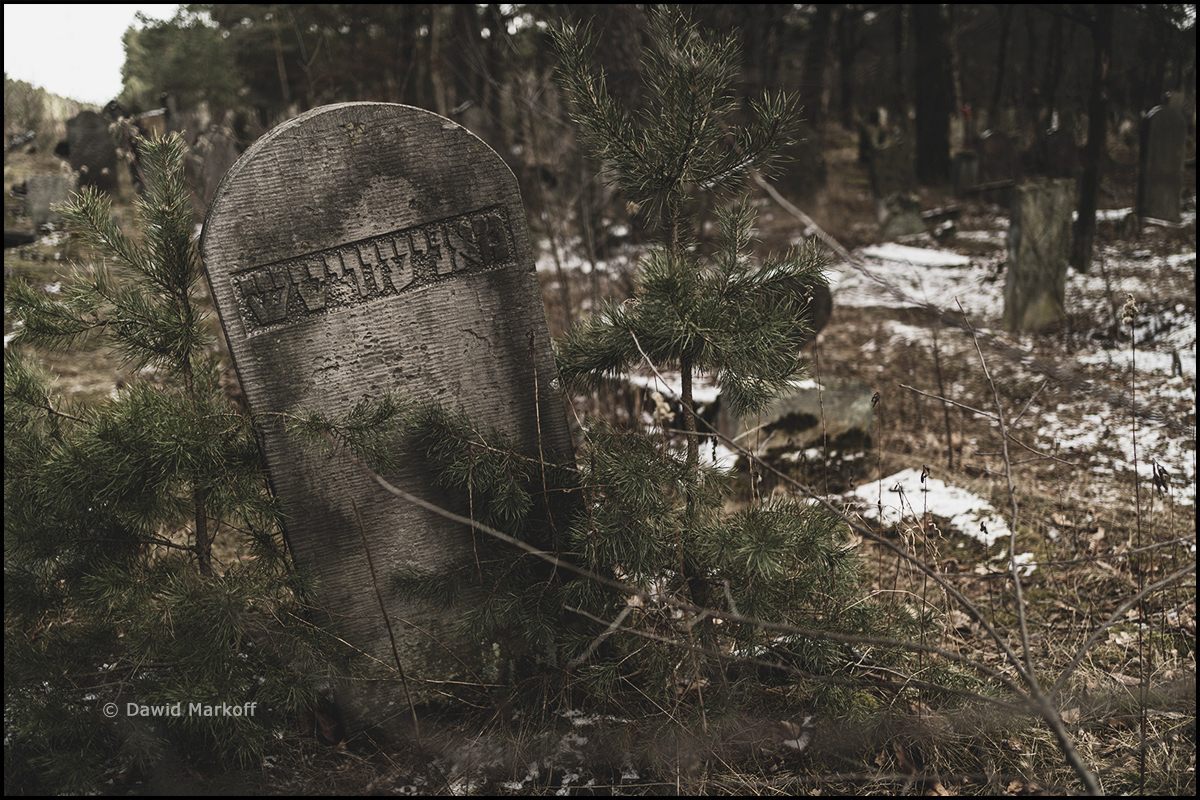 Cmentarz Żydowski w Karczewie-Anielinie by Dawid Markoff