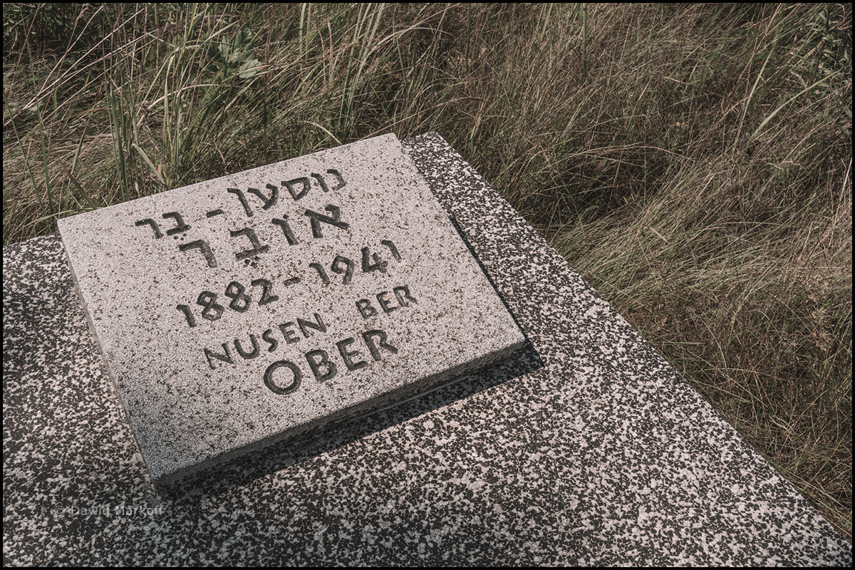 Cmentarz Żydowski w Łodzi by Dawid Markoff
