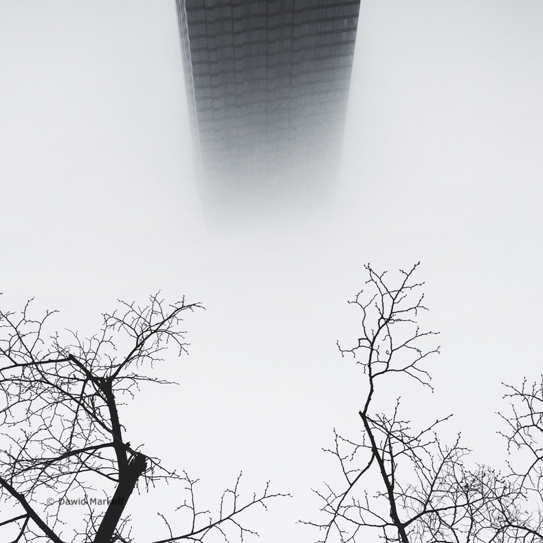 Fog Warszawa by Dawid Markoff