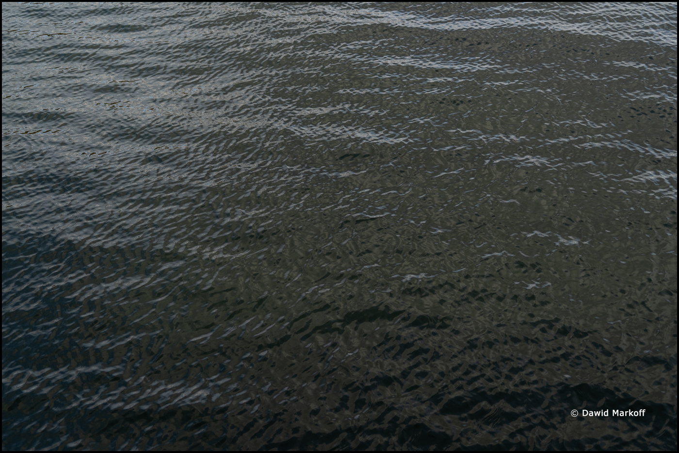 Gdynia Orłowo by Dawid Markoff