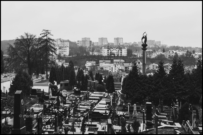 Cmentarz Łyczakowski Lwów by Dawid Markoff