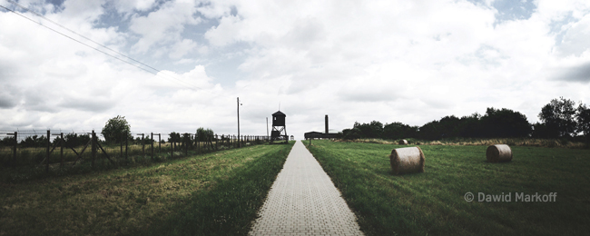 Majdanek - Dawid Markoff