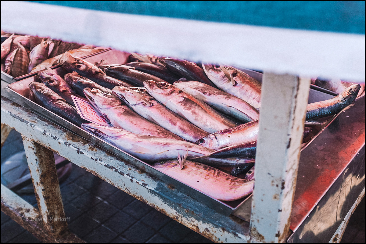Targ rybny w Marsaxlokk by Dawid Markoff