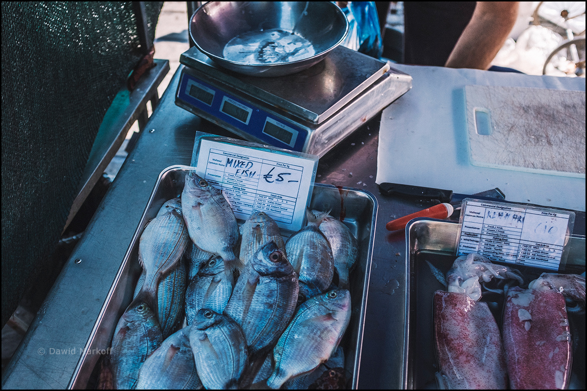 Targ rybny w Marsaxlokk by Dawid Markoff