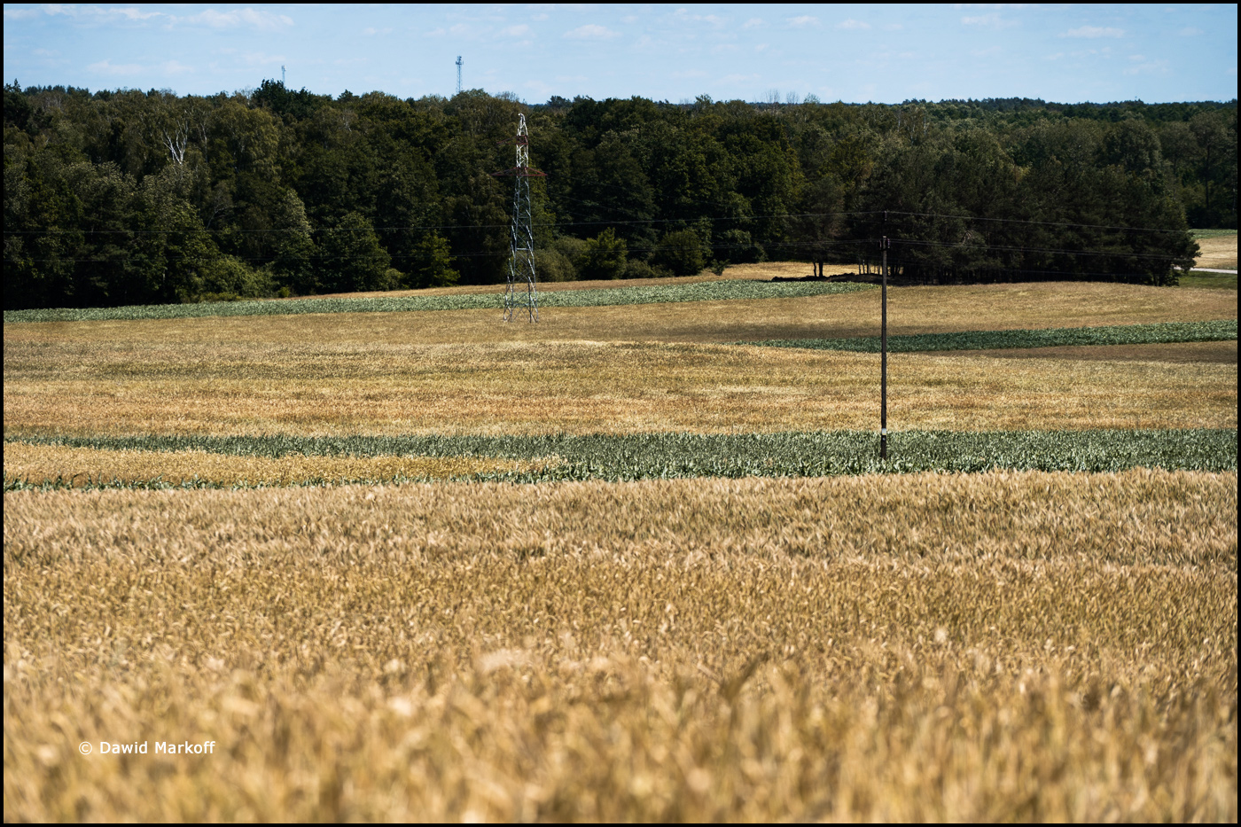 Podlasie by Dawid Markoff
