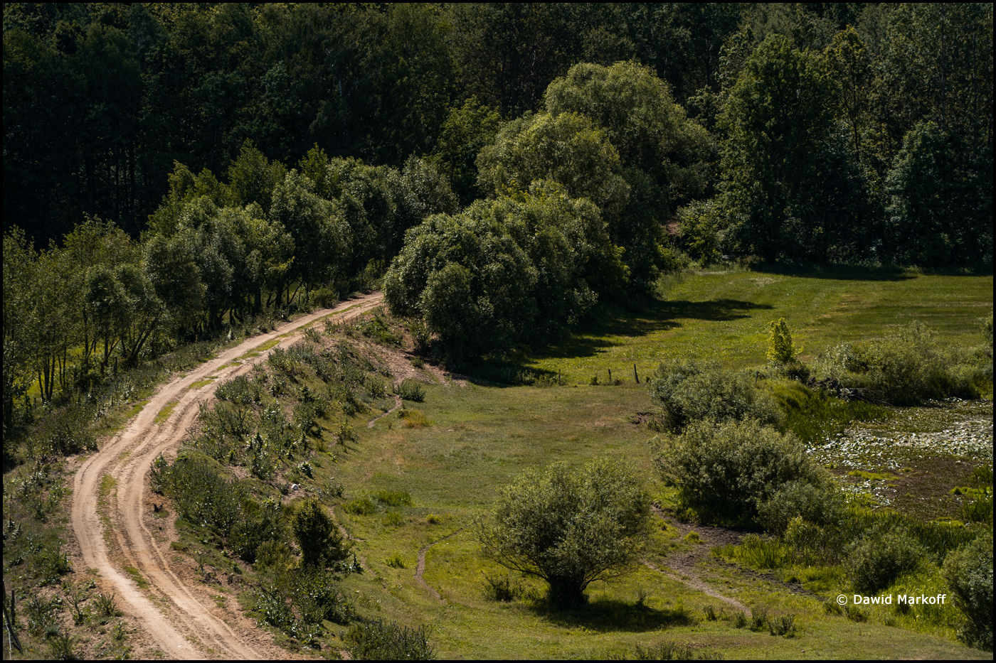 Podlasie by Dawid Markoff