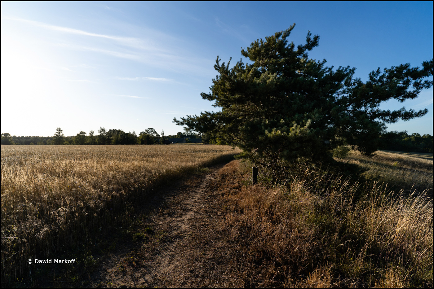 Podlasie by Dawid Markoff