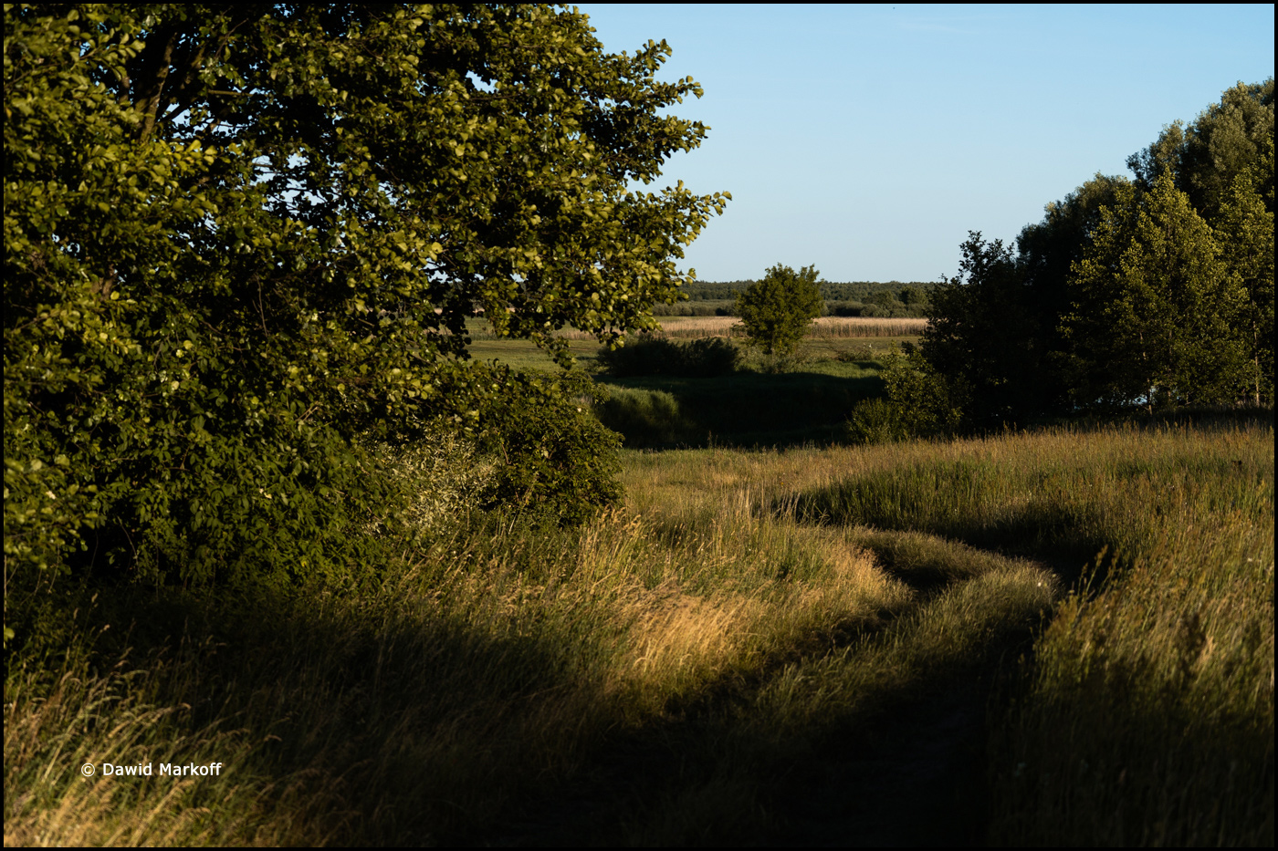 Podlasie by Dawid Markoff