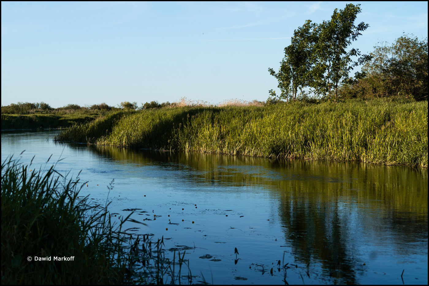Podlasie by Dawid Markoff