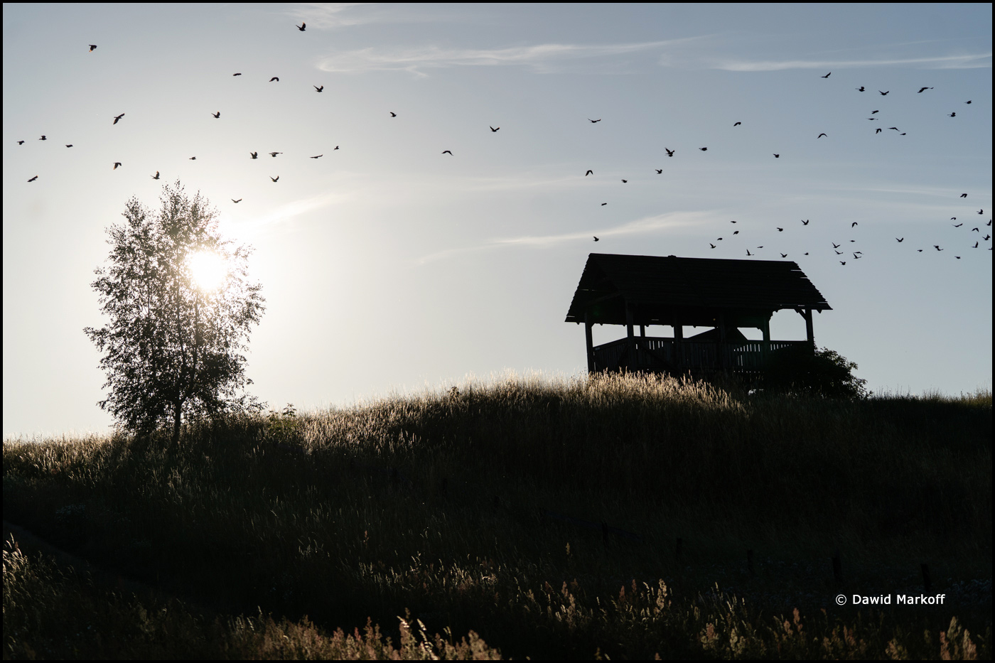 Podlasie by Dawid Markoff