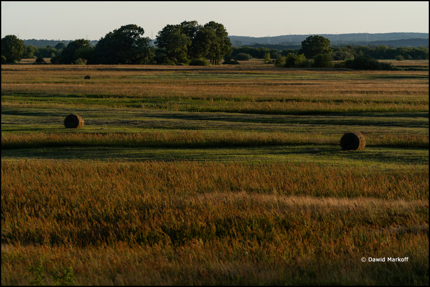 Podlasie by Dawid Markoff