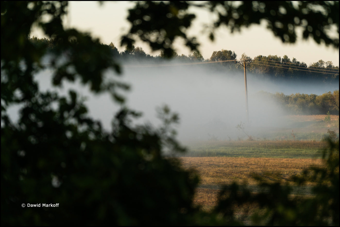 Podlasie by Dawid Markoff
