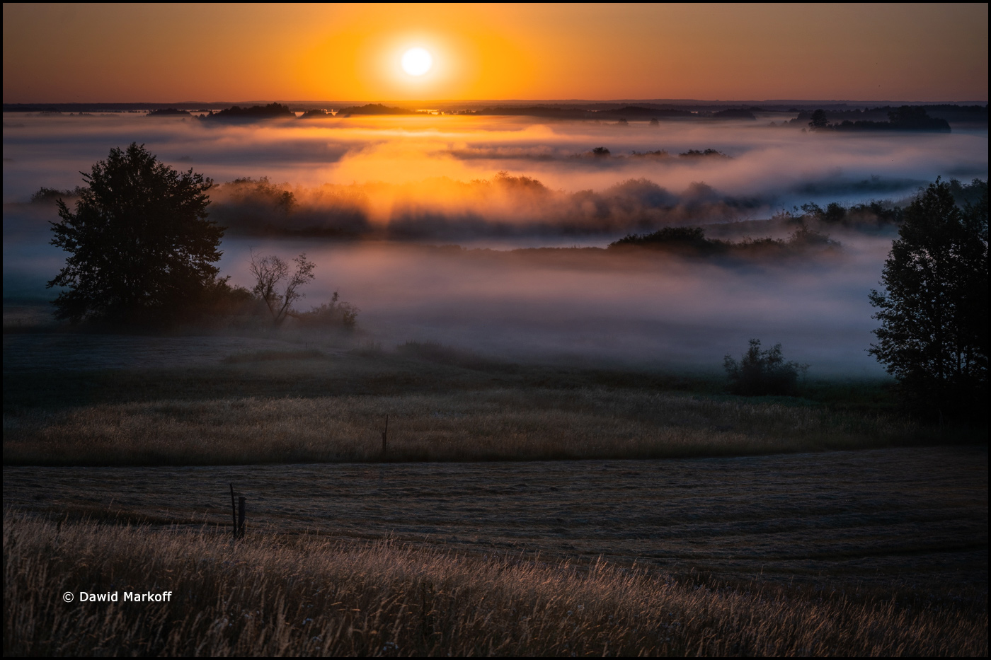 Podlasie by Dawid Markoff