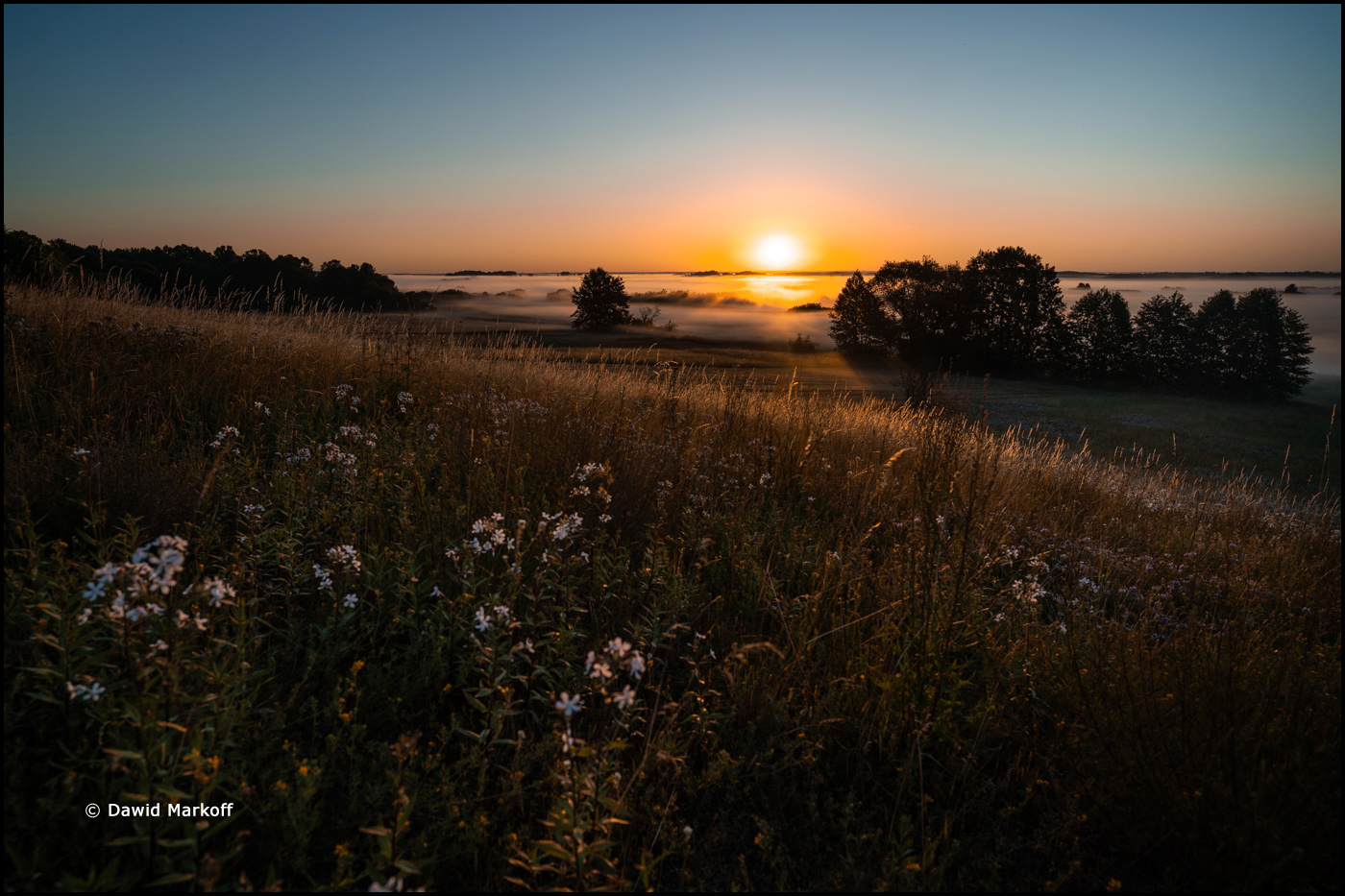 Podlasie by Dawid Markoff
