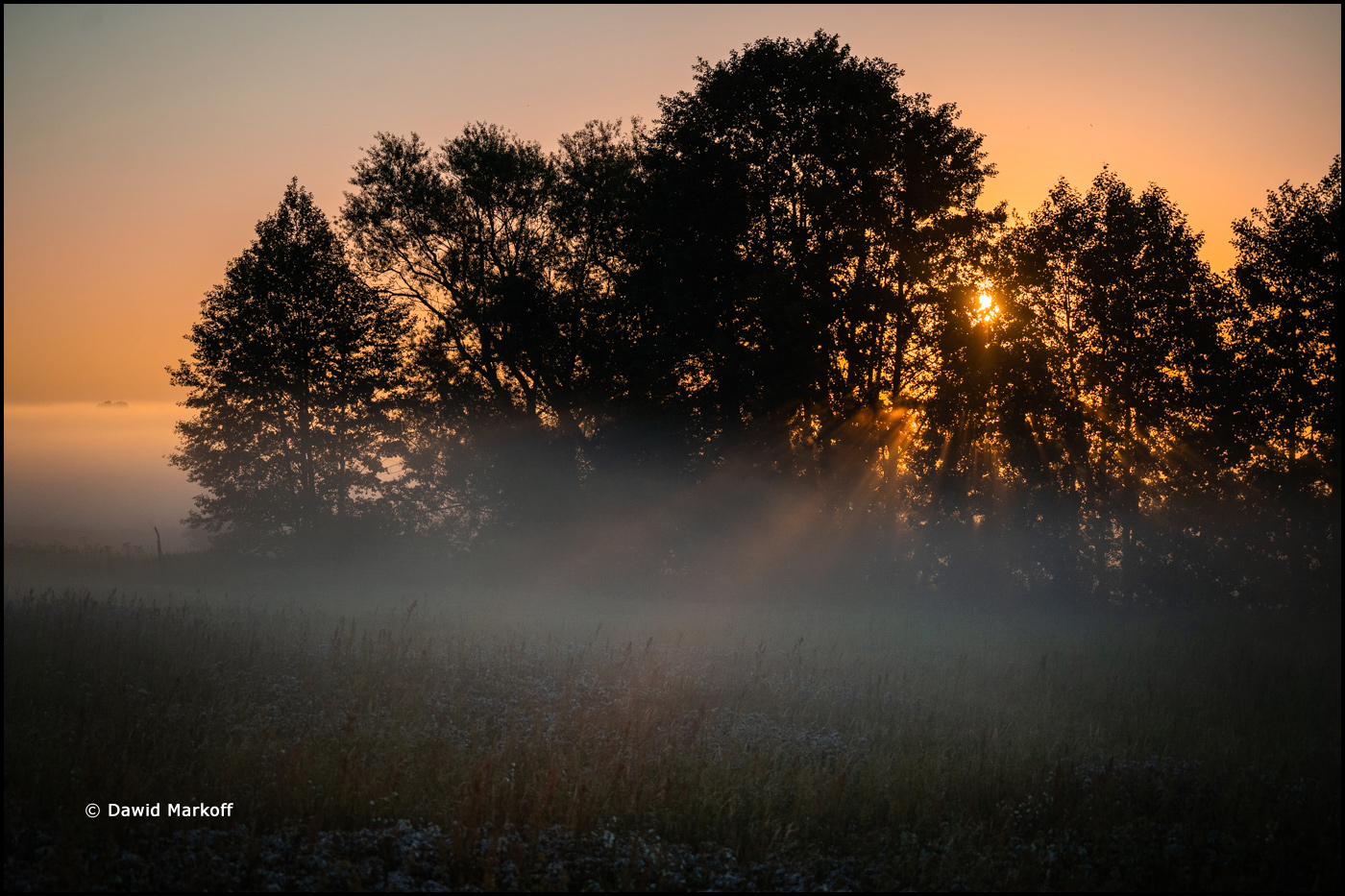 Podlasie by Dawid Markoff