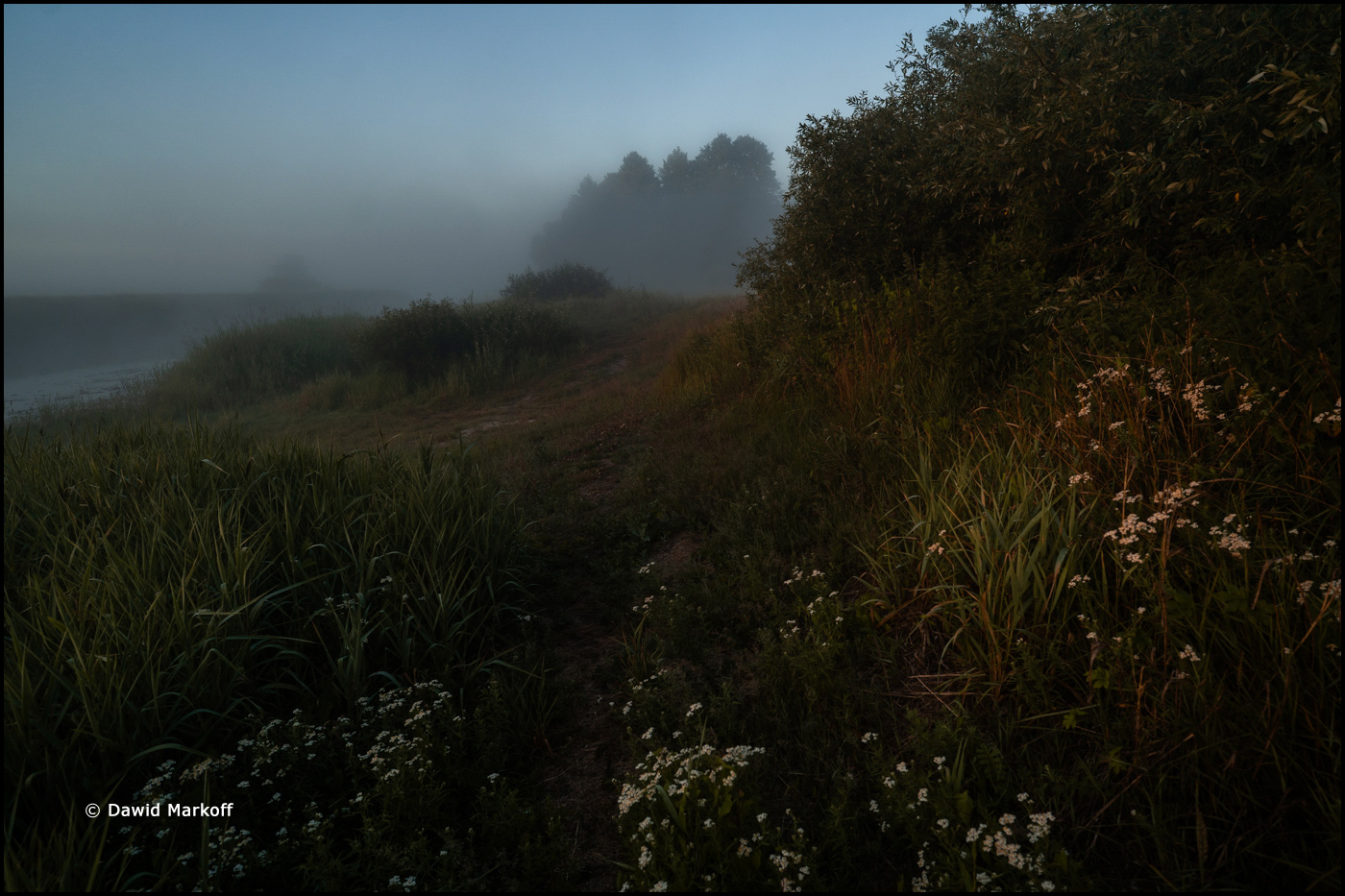Podlasie by Dawid Markoff