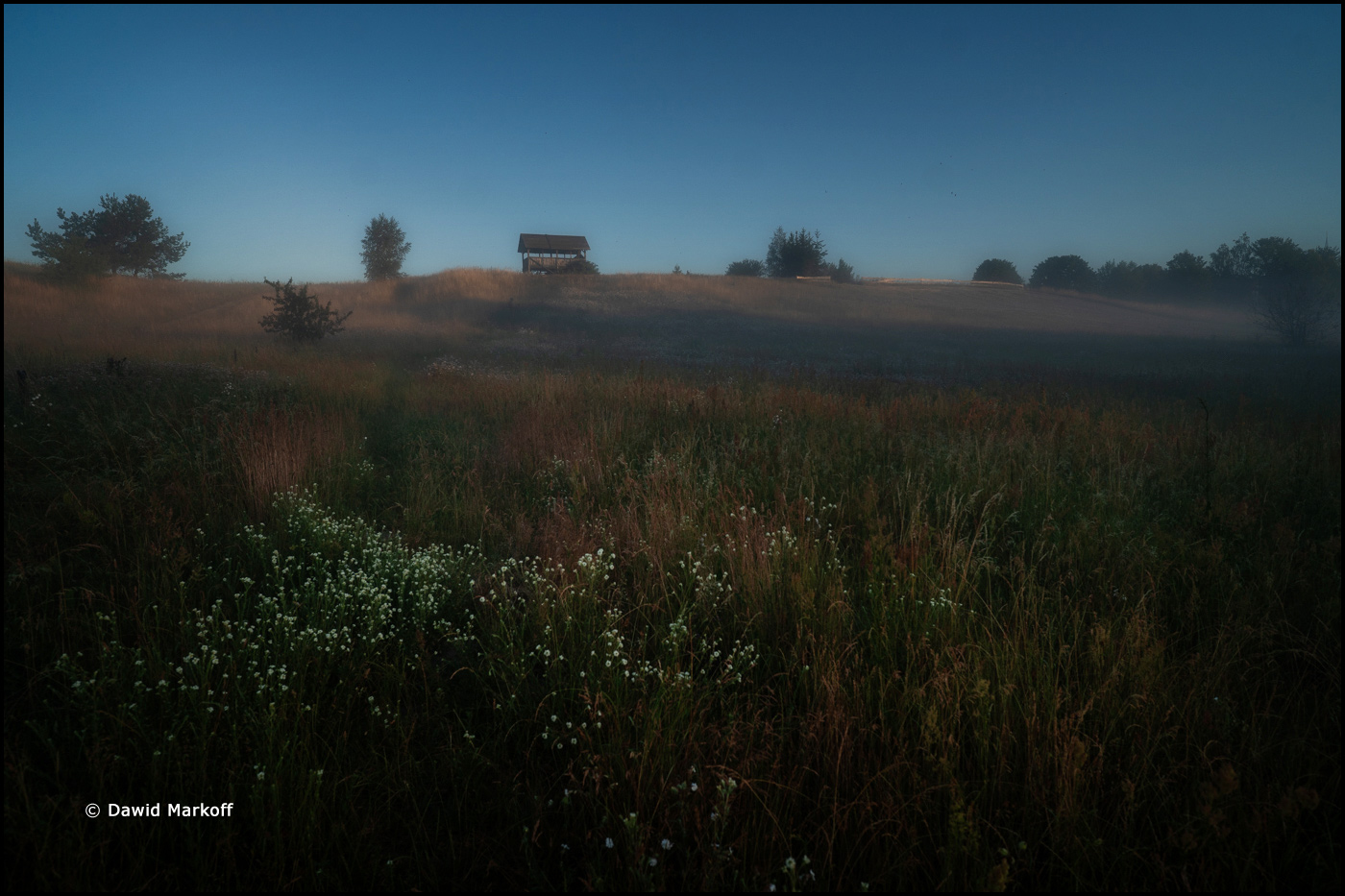Podlasie by Dawid Markoff