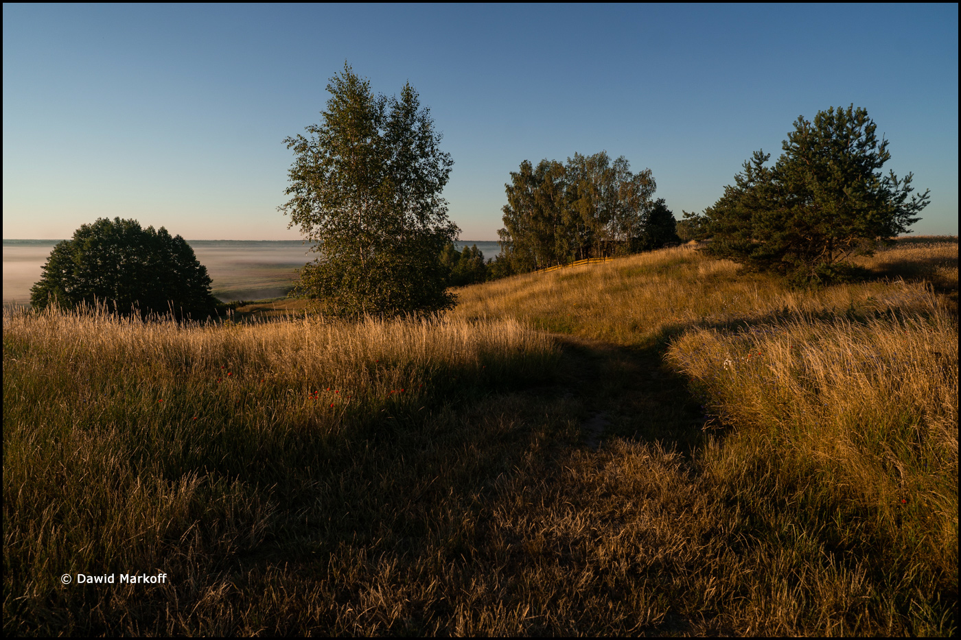 Podlasie by Dawid Markoff