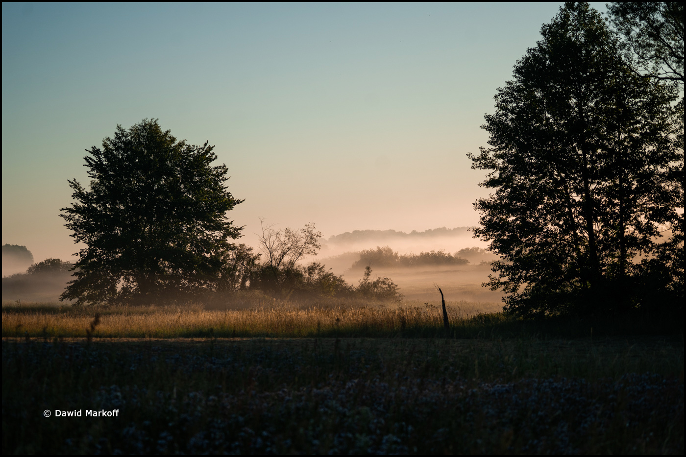 Podlasie by Dawid Markoff