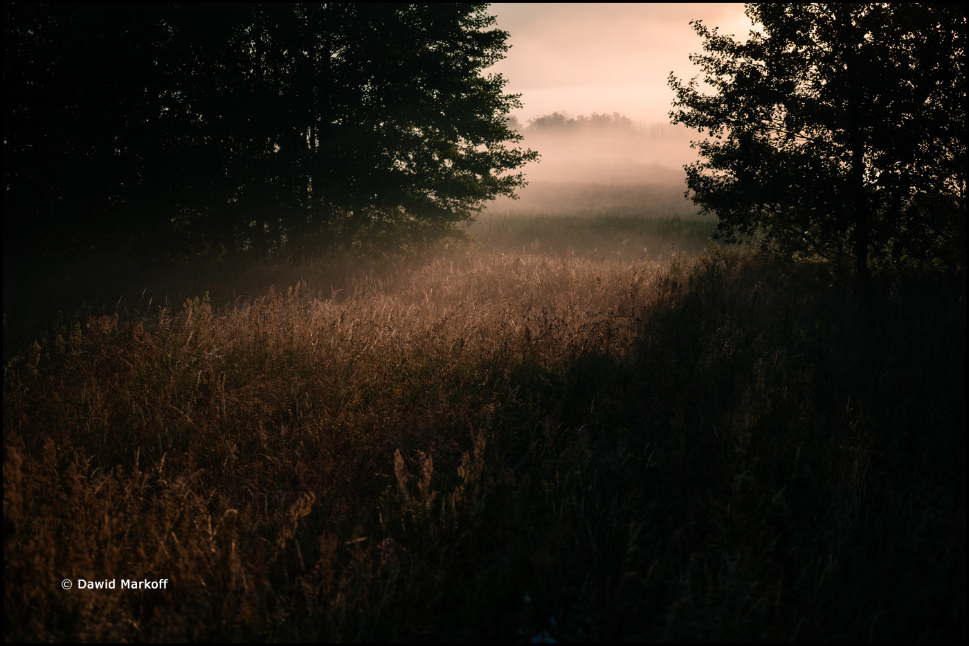 Podlasie by Dawid Markoff