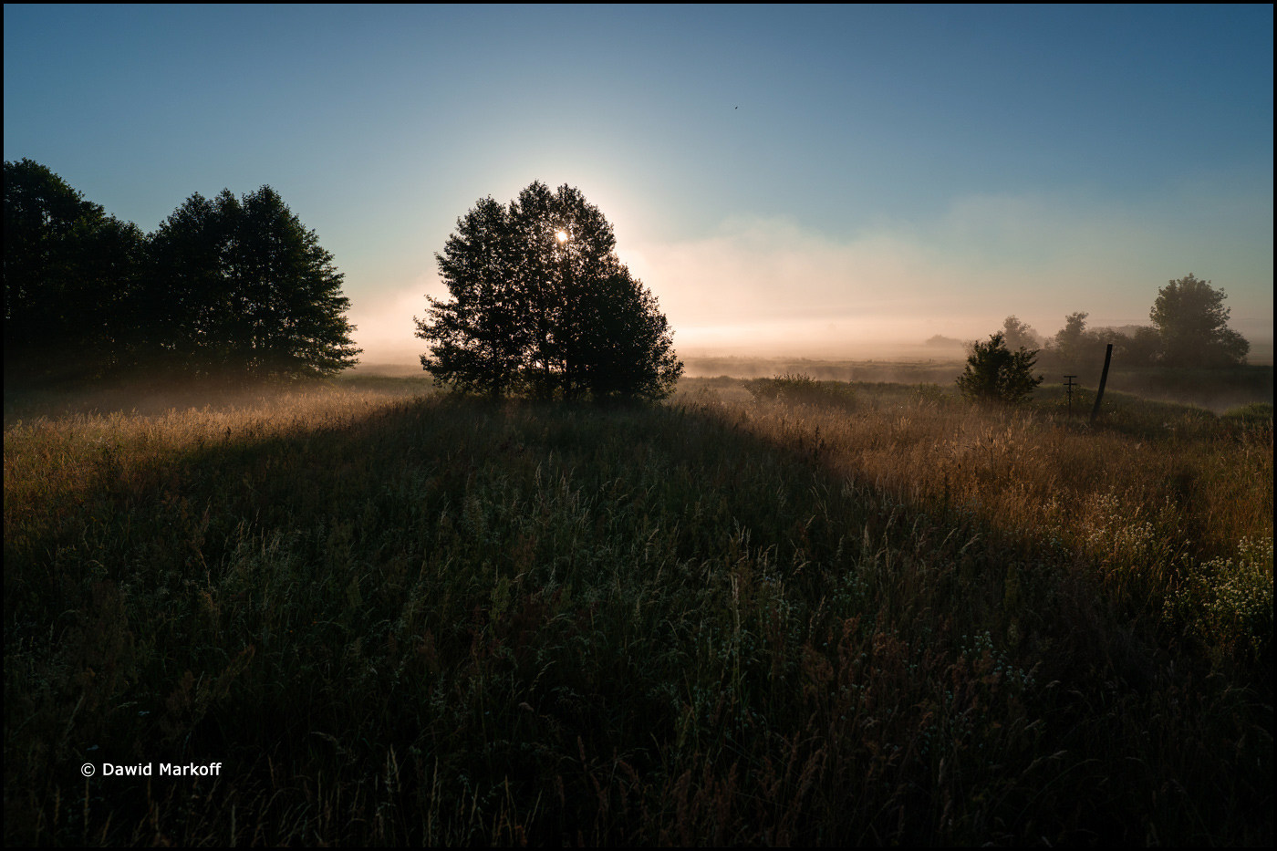 Podlasie by Dawid Markoff