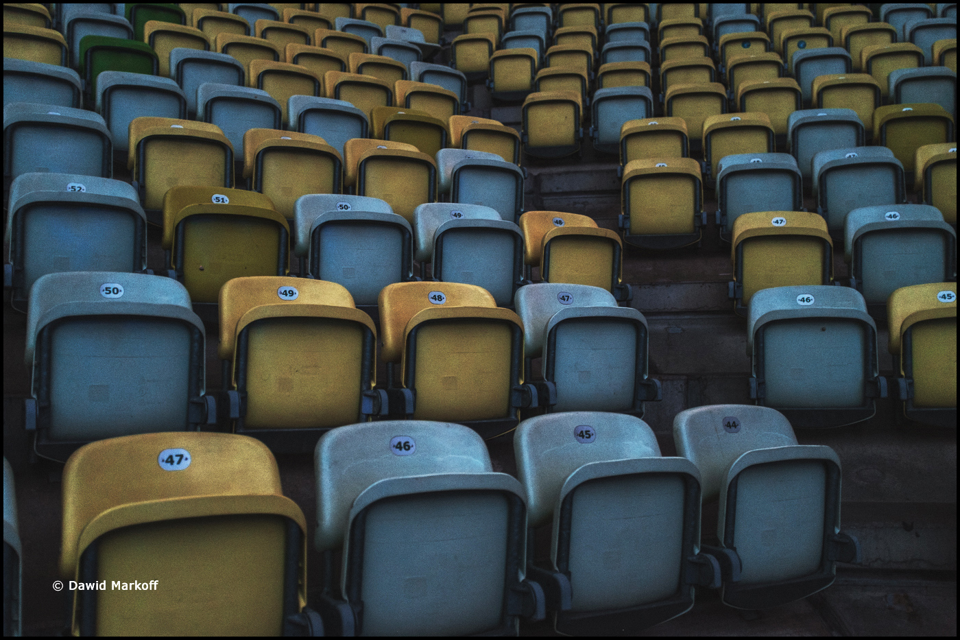 Polsat Plus Arena Gdańsk by Dawid Markoff