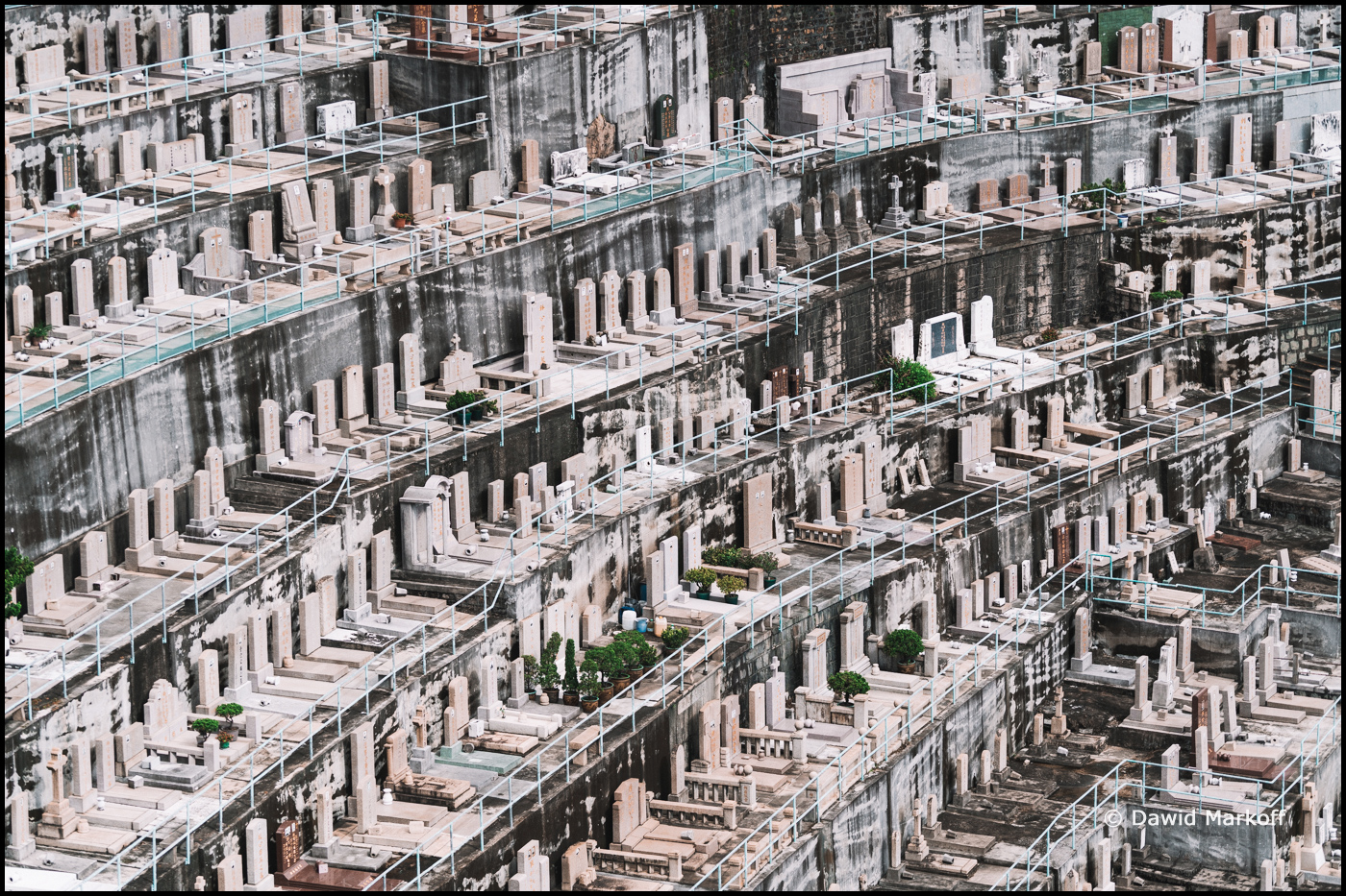 Cmentarz Pok Fu Lam by Dawid Markoff