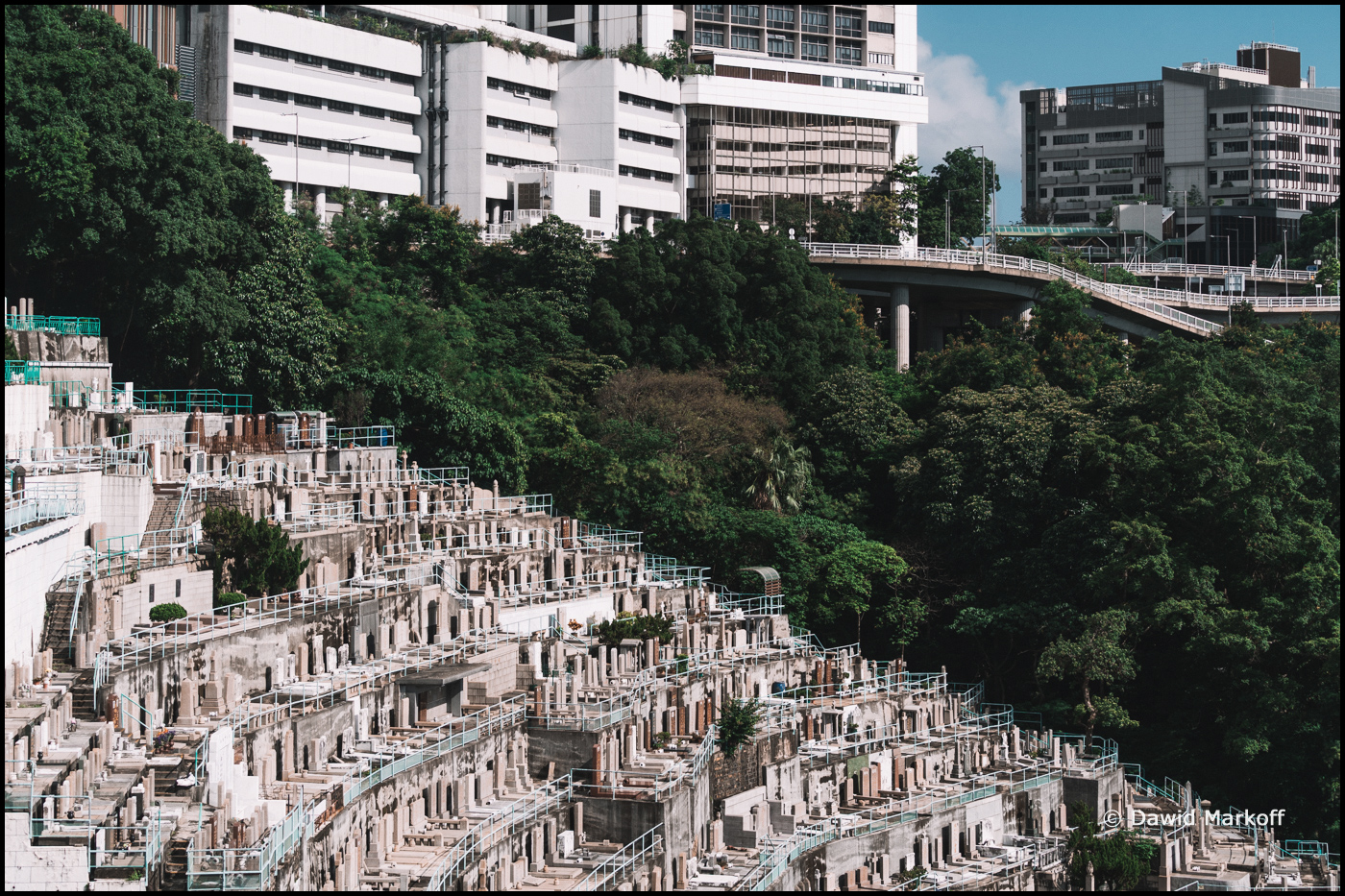 Cmentarz Pok Fu Lam by Dawid Markoff