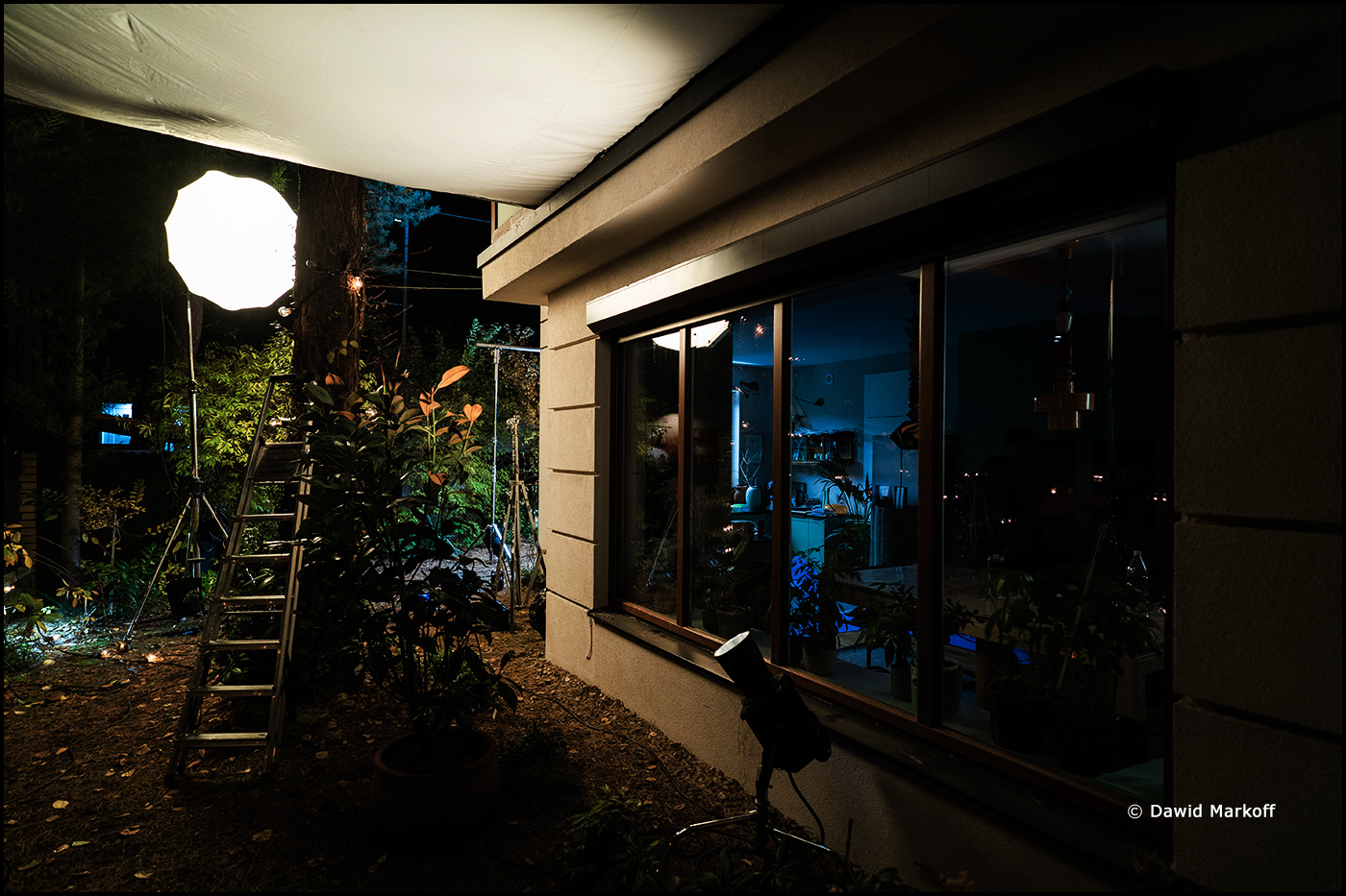 Displate Black Friday by Dawid Markoff