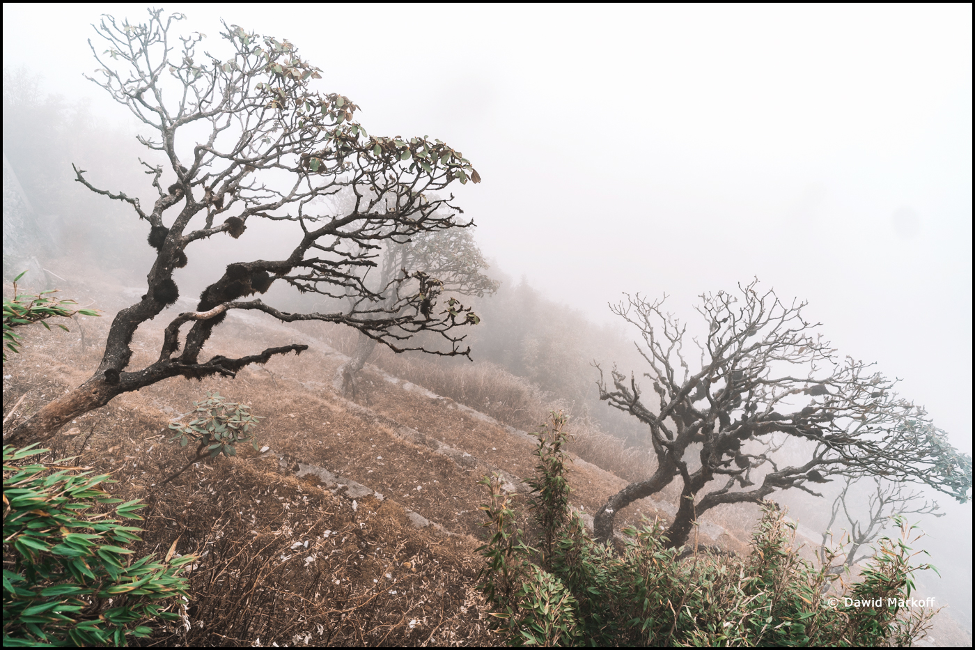 Fansipan Wietnam Sa Pa by Dawid Markoff