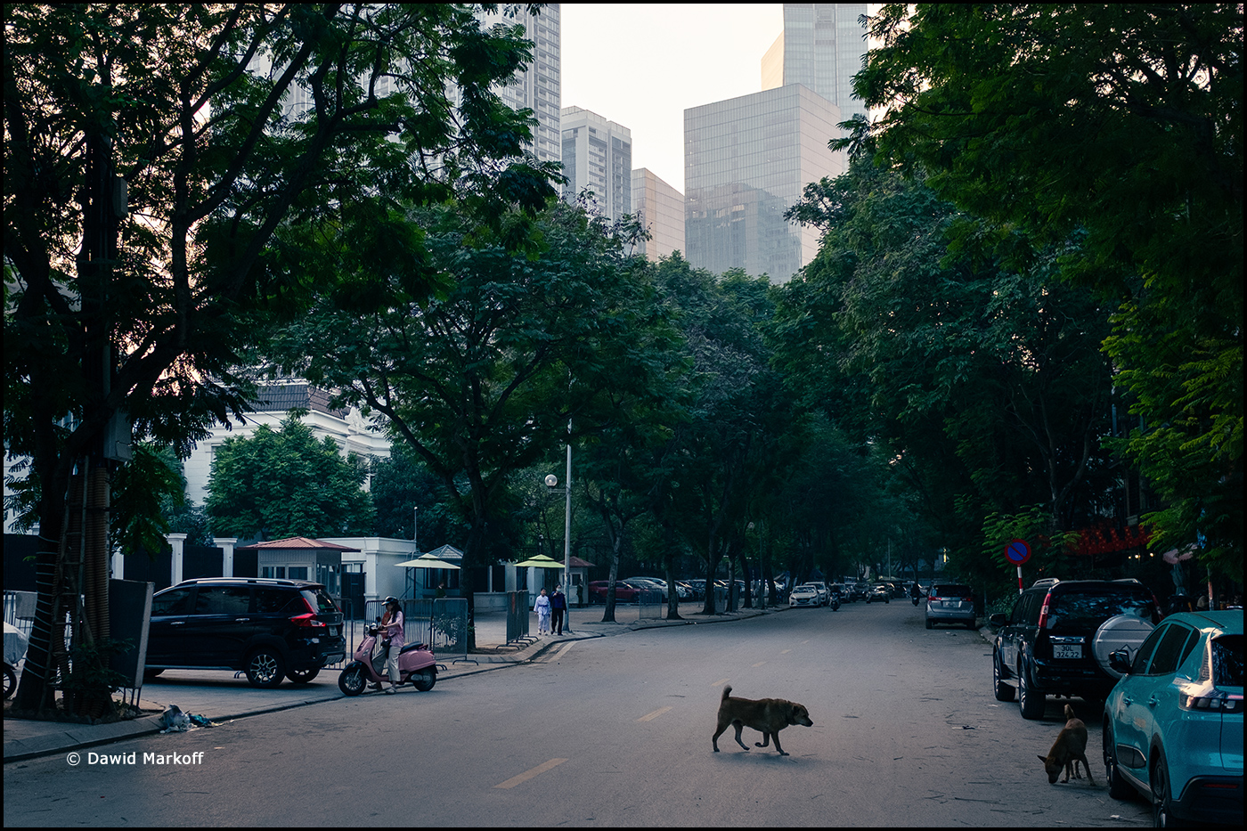 Hanoi by Dawid Markoff