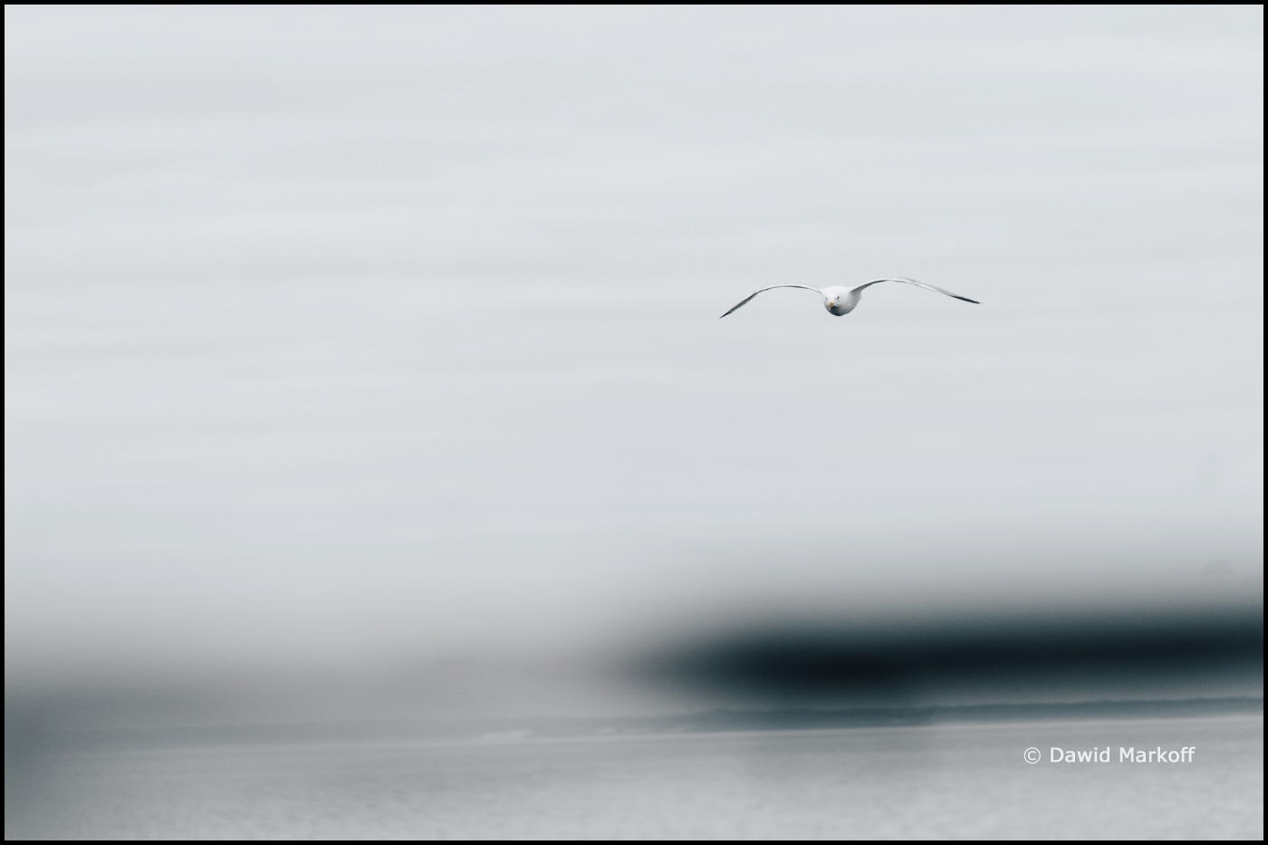 Helsinki by Dawid Markoff