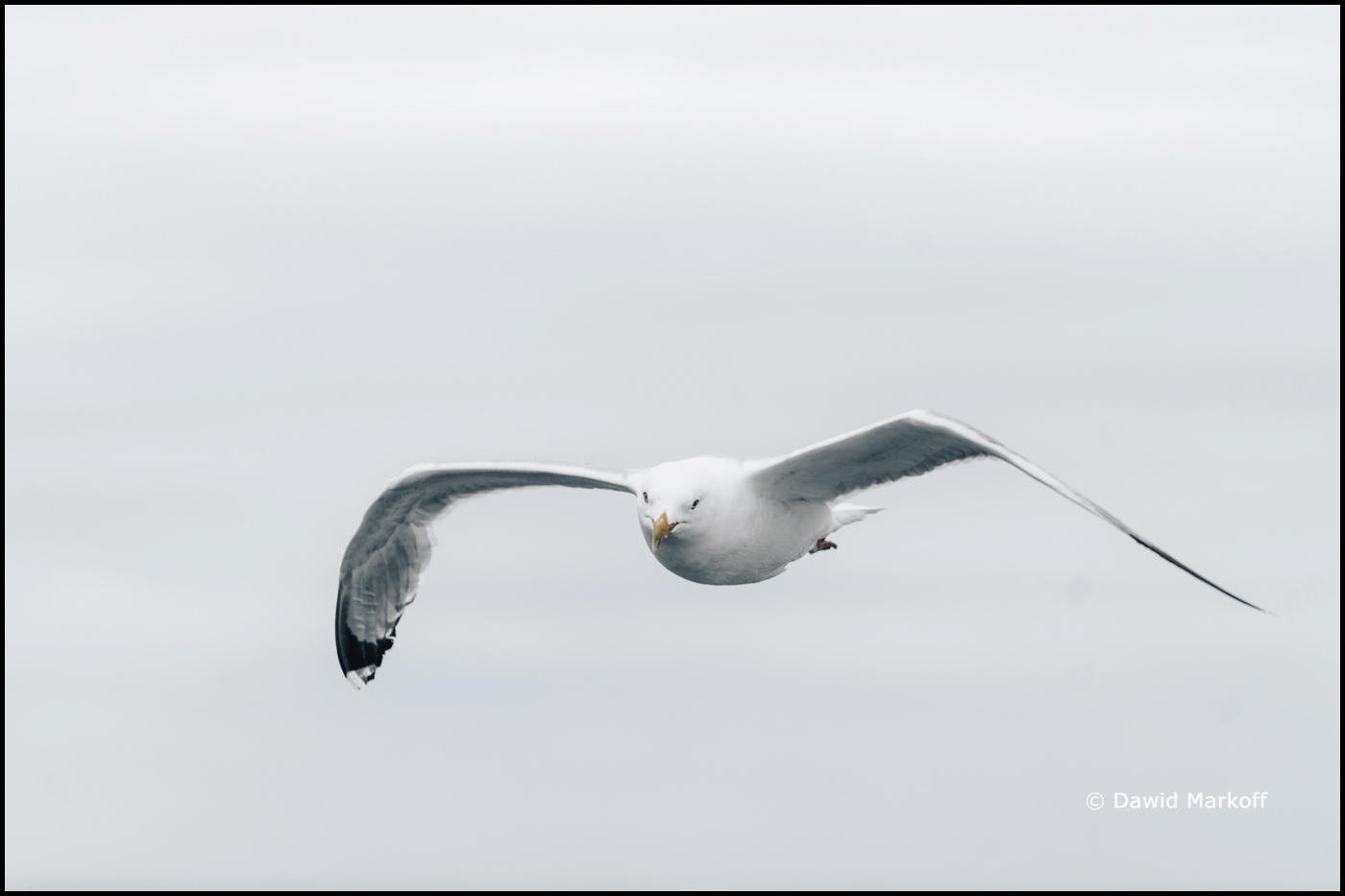Helsinki by Dawid Markoff