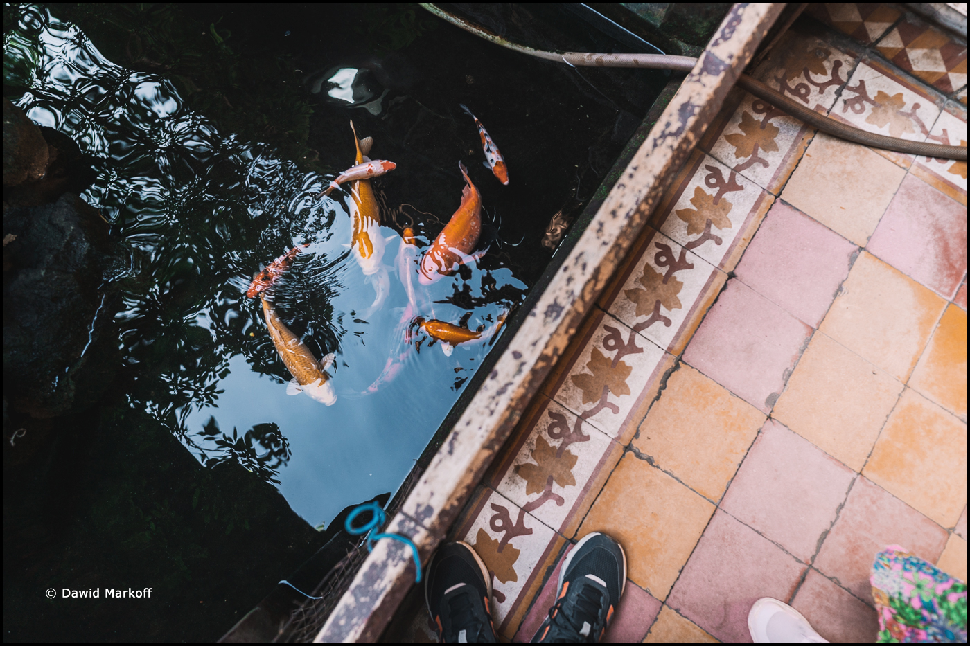 Hoi An Wietnam by Dawid Markoff