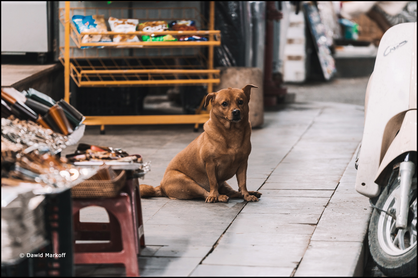 Hoi An Wietnam by Dawid Markoff