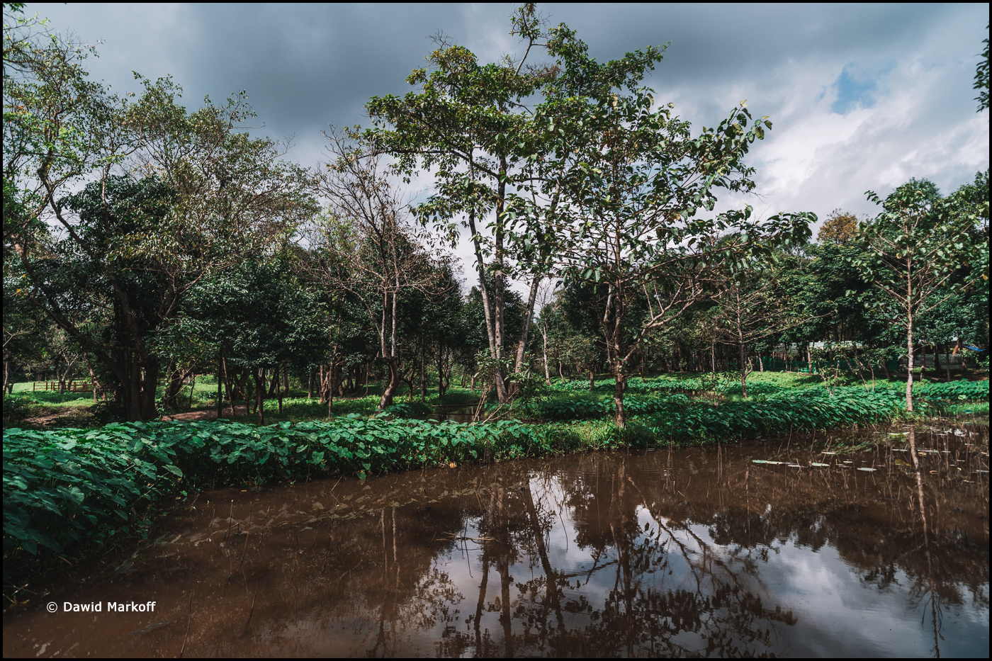 Hoi An Wietnam by Dawid Markoff
