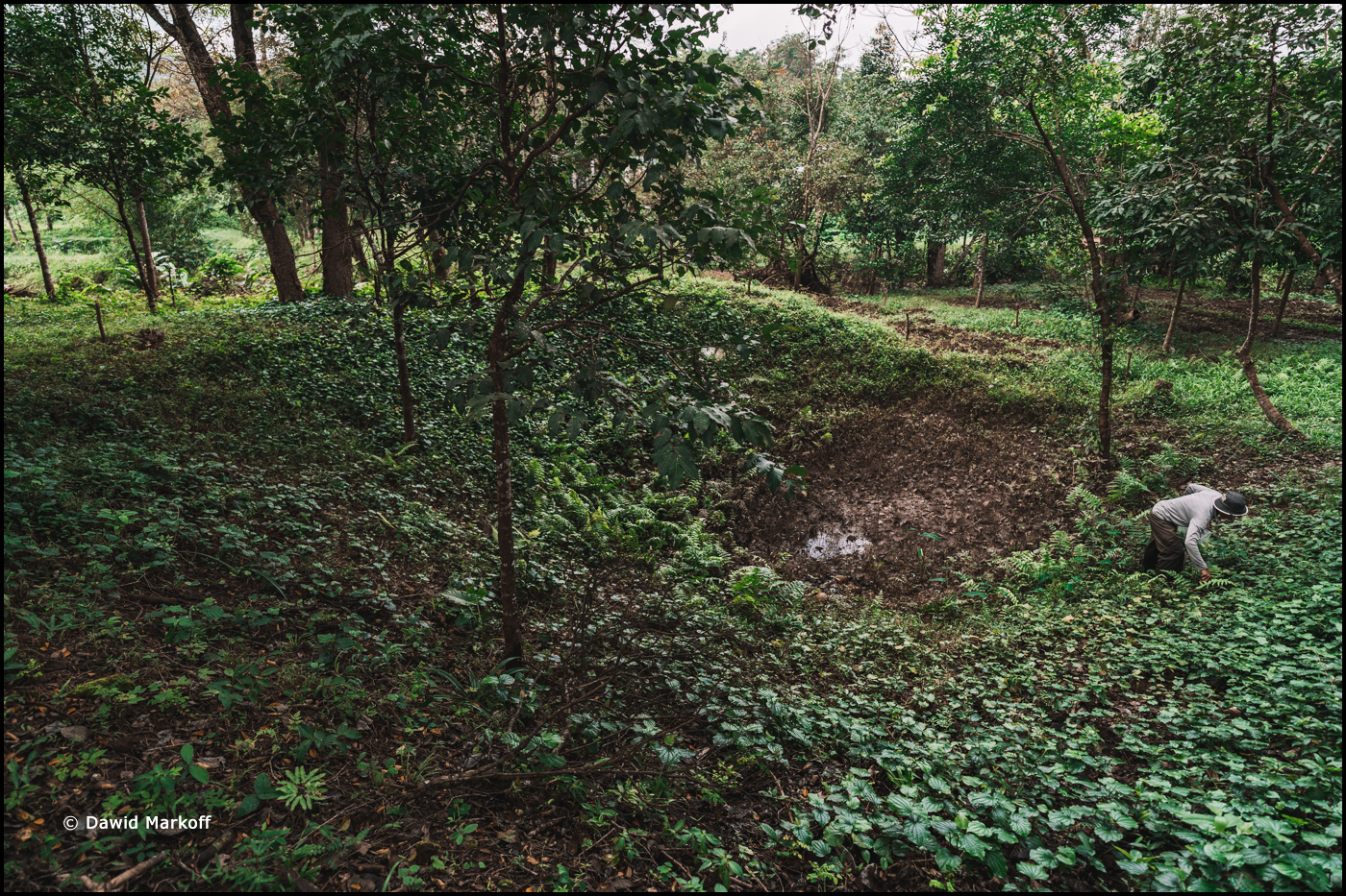 Hoi An Wietnam by Dawid Markoff
