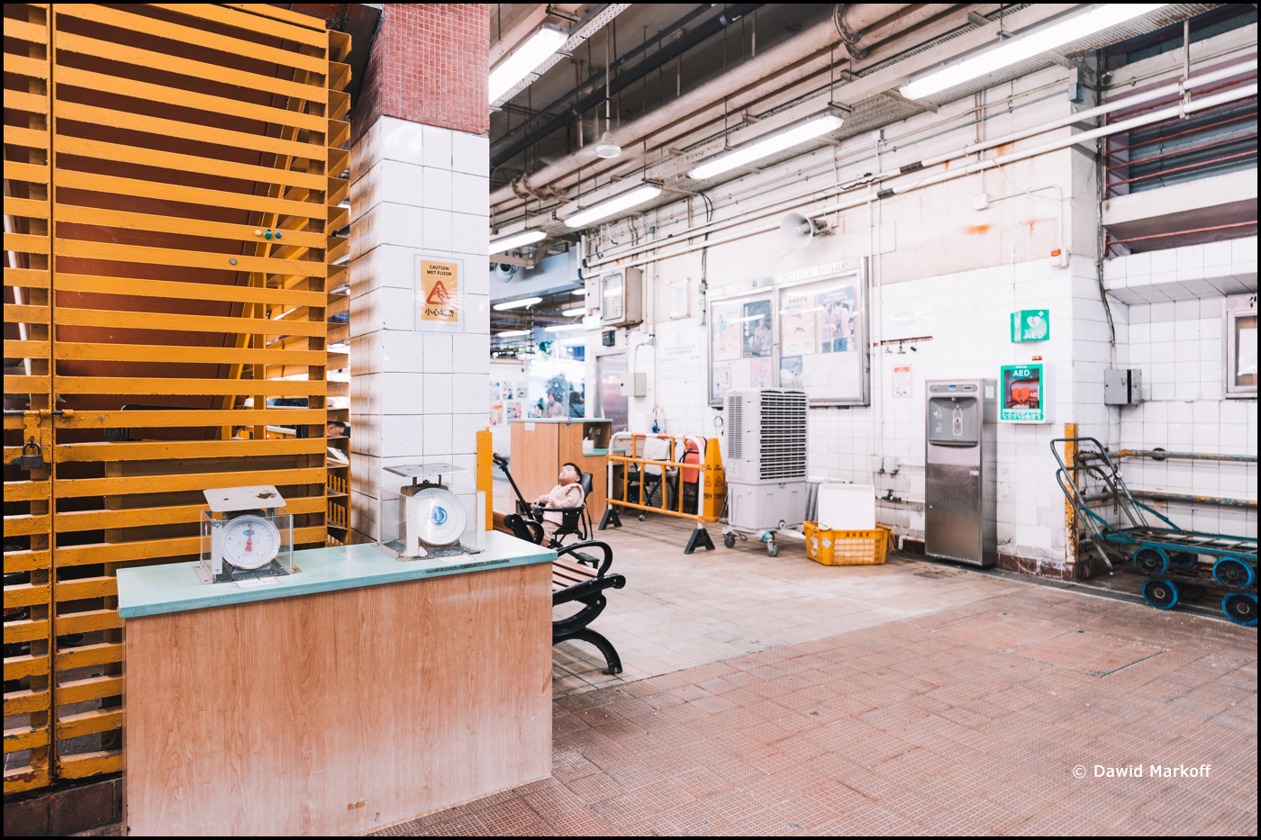 Hong Kong by Dawid Markoff