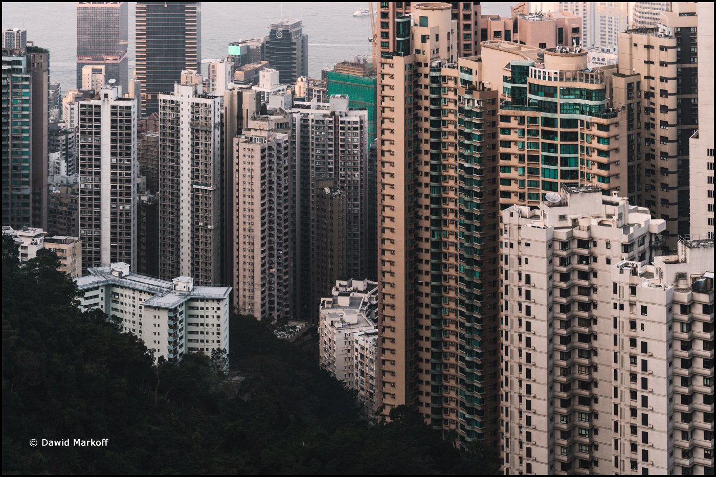 Hong Kong by Dawid Markoff