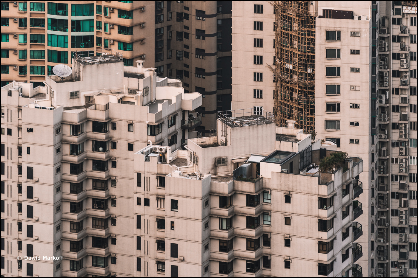 Hong Kong by Dawid Markoff