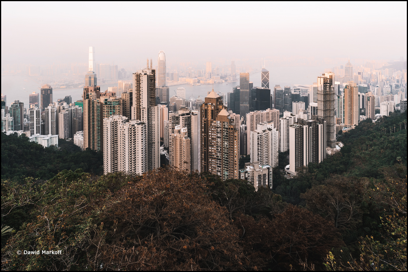 Hong Kong by Dawid Markoff