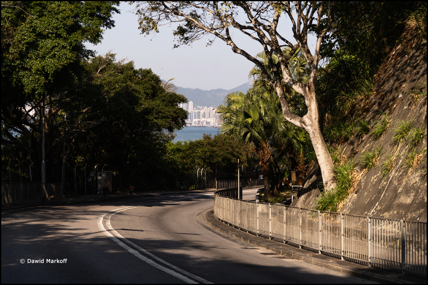 Hong Kong by Dawid Markoff