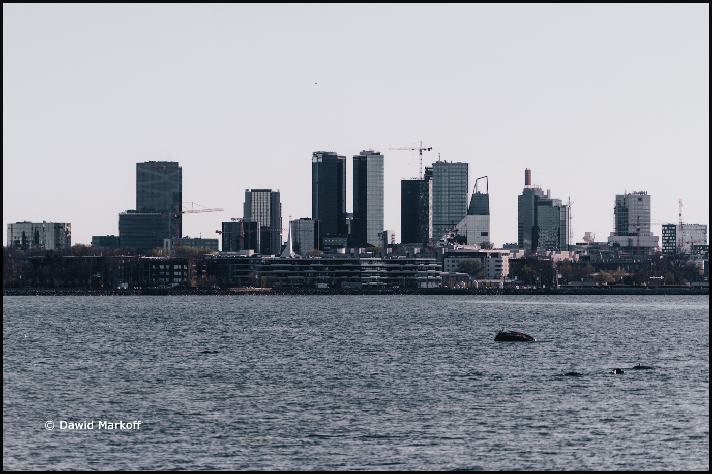 Estonia Tallinn by Dawid Markoff