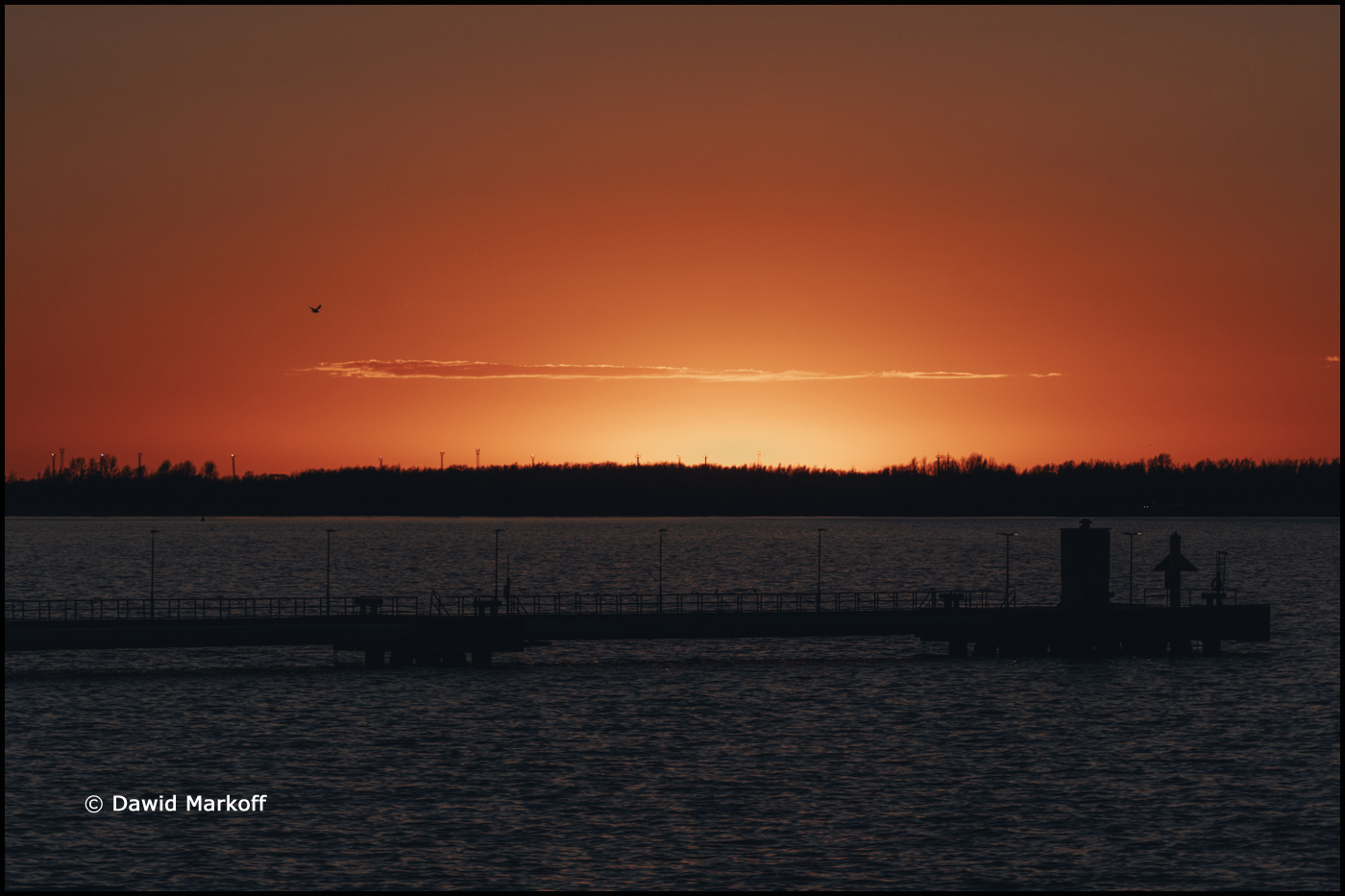 Estonia Tallinn by Dawid Markoff