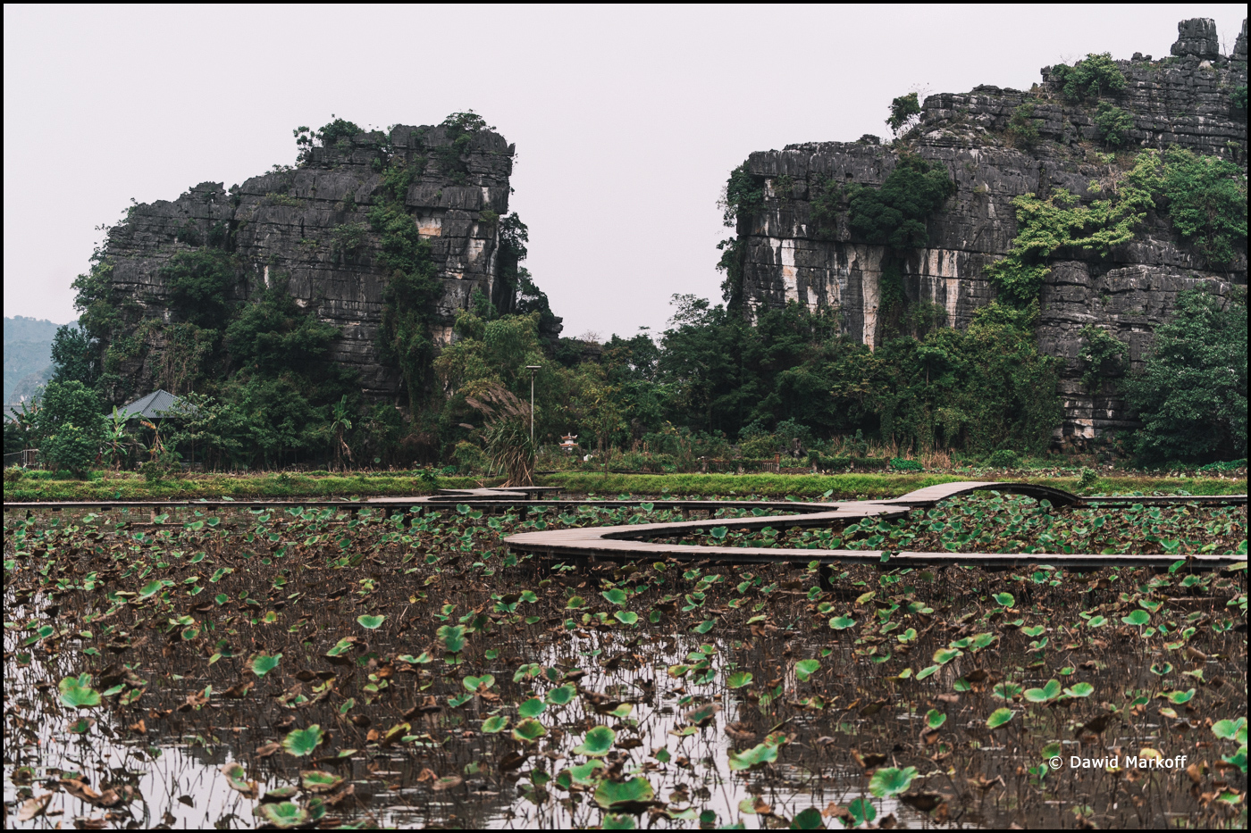 Tam Coc Wietnam by Dawid Markoff