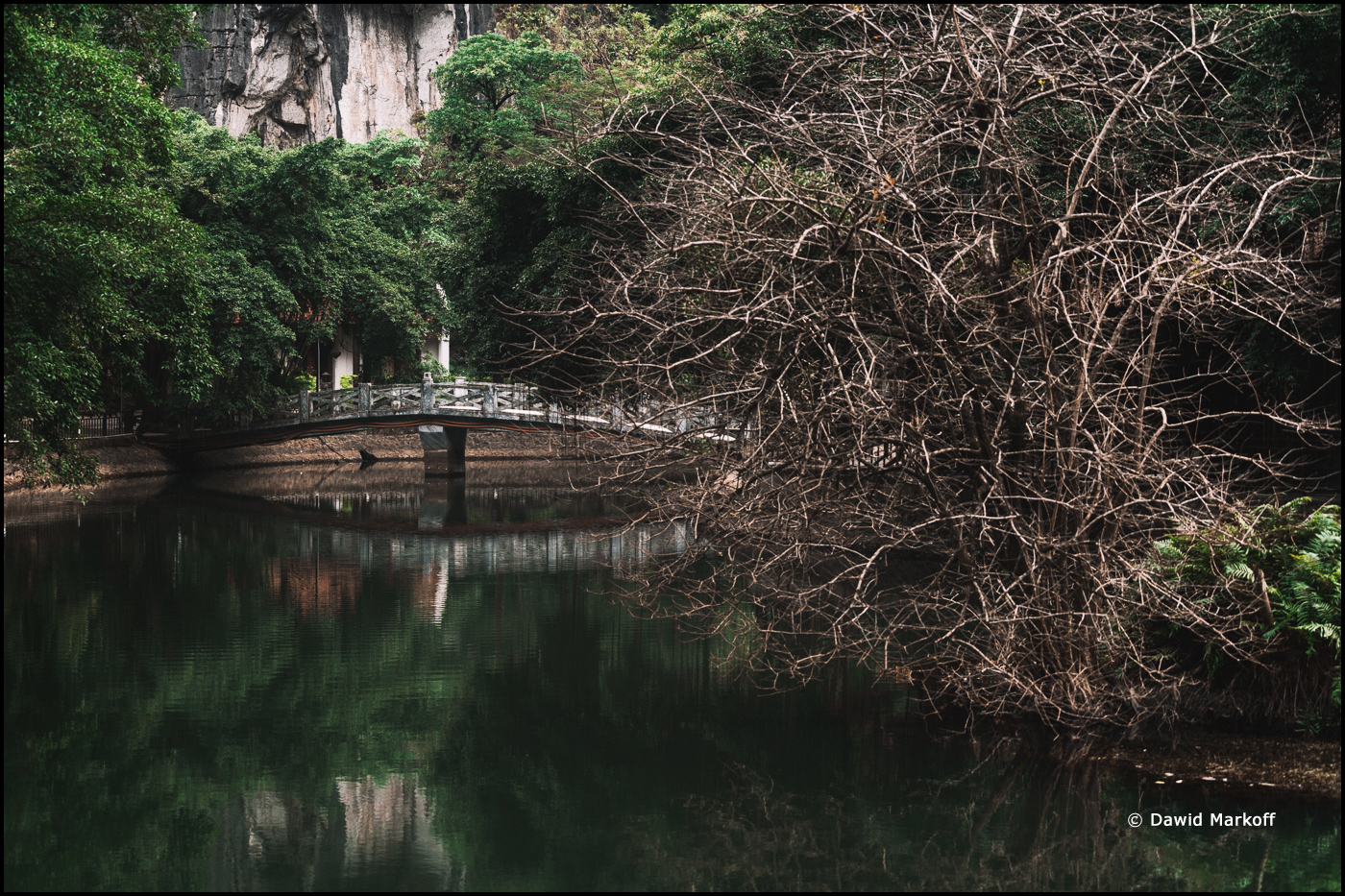Tam Coc Wietnam by Dawid Markoff