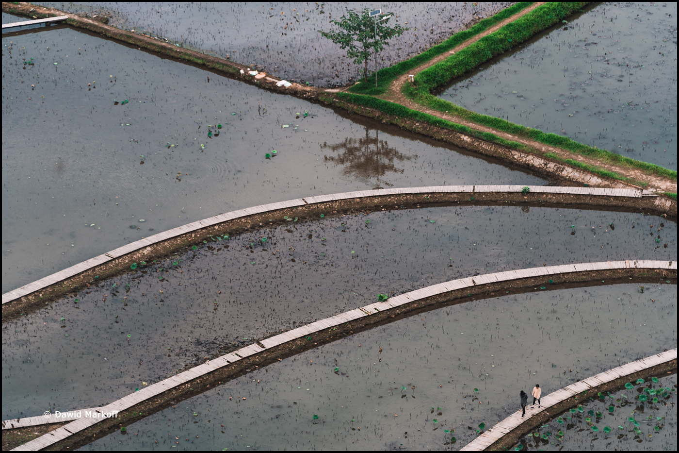Tam Coc Wietnam by Dawid Markoff